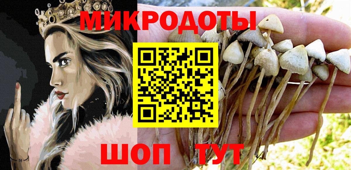 Галлюциногенные грибы мухоморы Кизляр