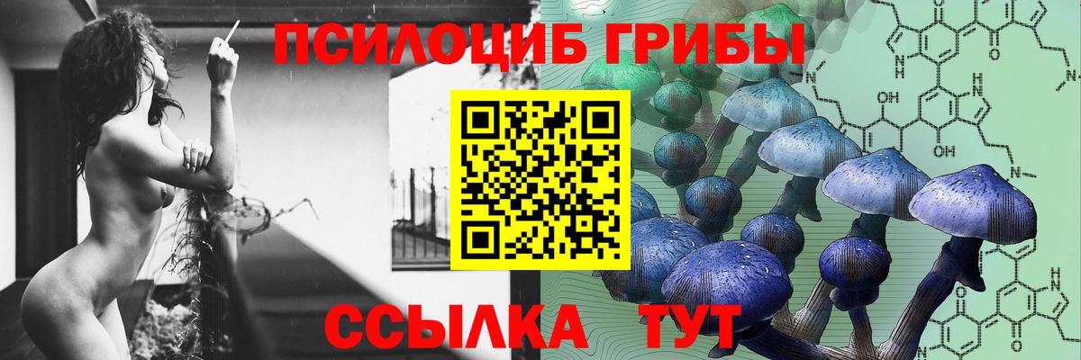 Псилоцибиновые грибы GOLDEN TEACHER  Вход с VPN  Кизляр  Галлюциногенные грибы GOLDEN TEACHER 
